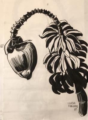 PORFOLO / LUISA FREIXAS